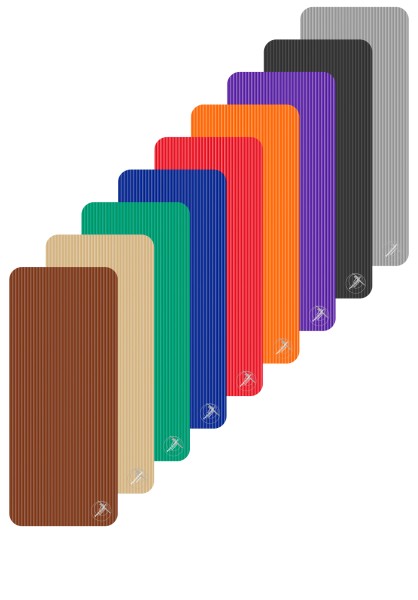 ProfiGymMat  Professional 180 x  60 x 2 cm