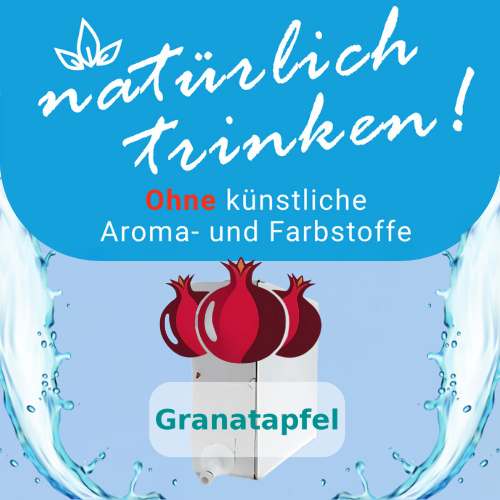 Getränkekonzentrat WE-NT 5L-Bag-in-Box (1:50) ohne künstliche Aroma- und Farbstoffe