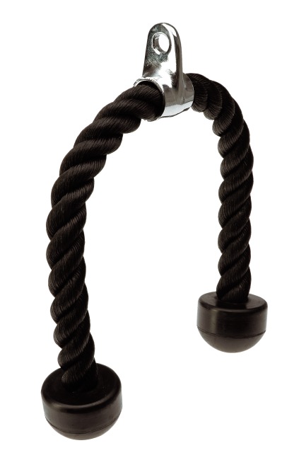 Trizepsseil