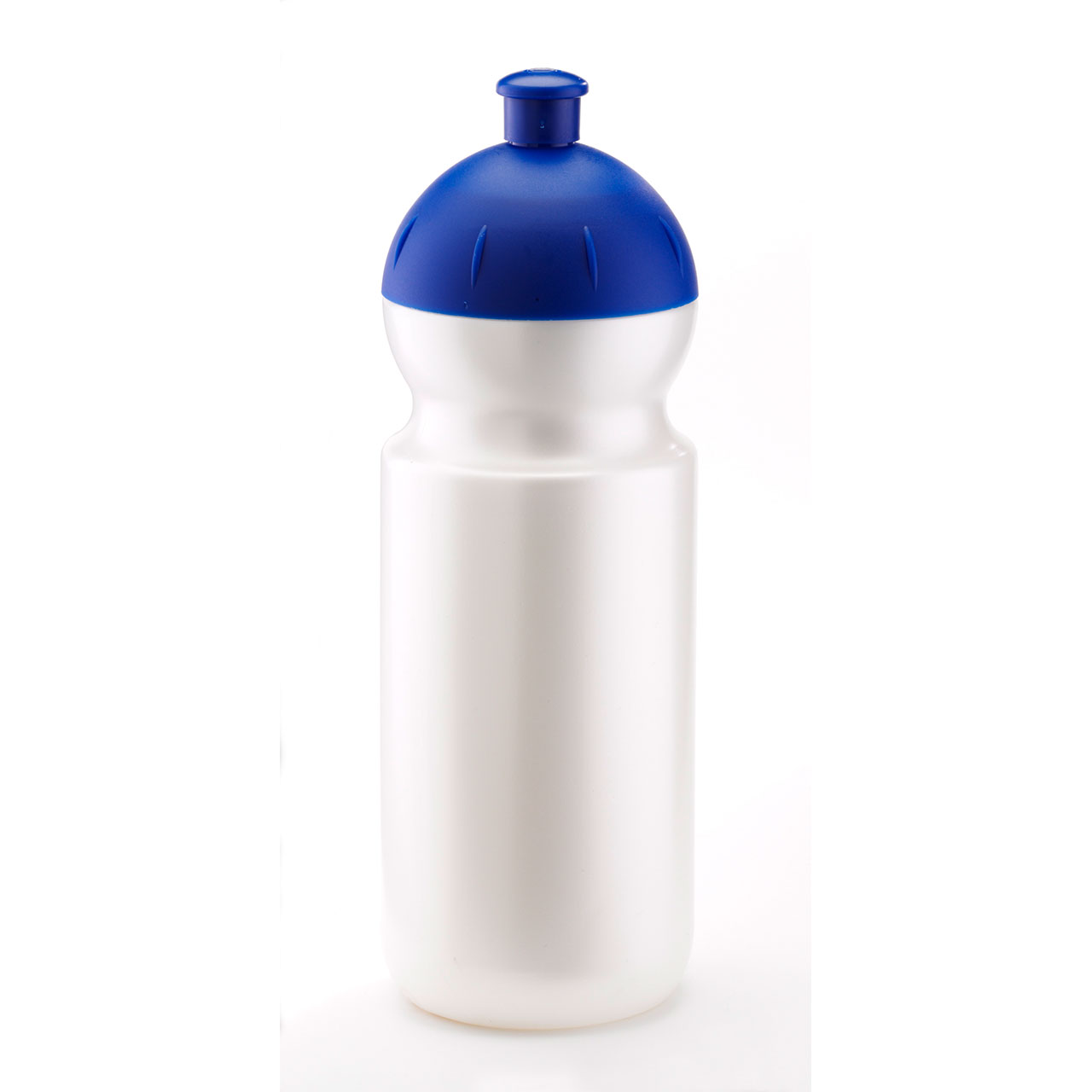 Trinkflaschen 500ml IN