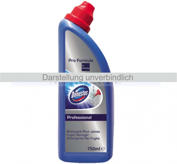 Domestos Professional Schimmelentferner 750 ml (VE)